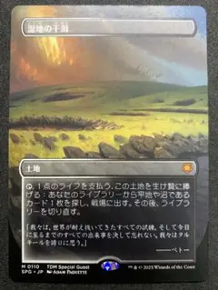 MTG 湿地の干潟/Marsh Flats スペシャルゲスト
