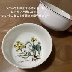 希少　新品保管品　ビレロイボッホ ボタニカル 大皿　27cm　廃盤 2025年最新】ビレロイボッホ ボタニカの人気アイテム - メルカリ