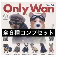Only Wan オンリーワン vol.04 全６種類 フルコンプセット ガチャ