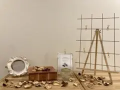 ウェルカムスペース