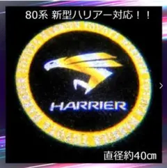 【最安】新型80系ハリアー対応 円形ゴールド カーテシライト 2個セット