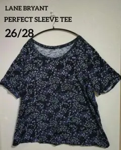 Item thumbnail for item fda67a76-3717-4558-870e-71ddd45881be
