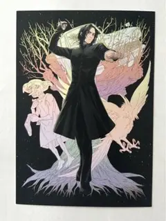 【非売品】　セブルススネイプ　　ポストカード　アニメイト