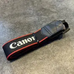 Item thumbnail for item 70dcc8eb-2548-4f0a-9c1a-1c72faca548b