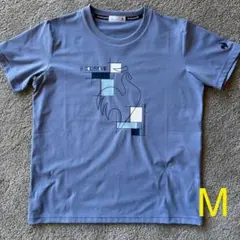 Item thumbnail for item 050e3681-f2e2-474e-a666-997b45645201