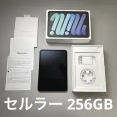 【美品】iPad mini (A17 Pro) Cellular 256GB