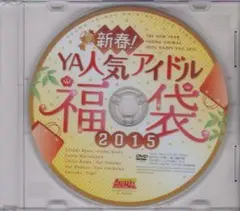 ●ヤングアニマル 2015年No.3 付録DVD◆石川恋 岸明日香 葉加瀬マイ●
