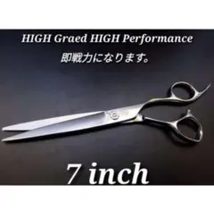 Item thumbnail for item 213e7c2f-dc3f-49e3-bc82-ad446786486a