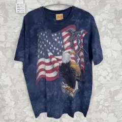 THE MOUNTAIN 白頭鷲 アメリカ国旗 タイダイTシャツ XXL 古着