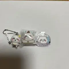 モモンガ　くら寿司　セット