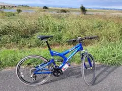 ジャイアント WARP ワープ マウンテンバイク mtb