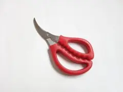 Item thumbnail for item ae04fb9d-3e95-44c9-ba23-9e5772065e1b