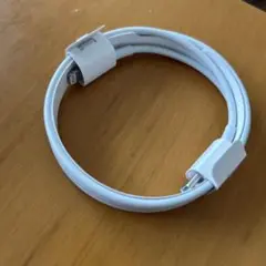 Apple 純正品 ライトニングケーブル タイプC 新品未使用