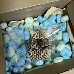 折り紙 フクロウ 立体オブジェ　#ブロック折り紙