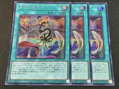 遊戯王 黒羽の旋風 シークレット 3枚セット