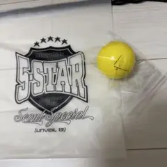 StrayKids サイン入りボール バンチャン stray kids TOY WORLD サインボール バンチャン
