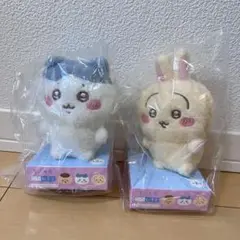 Item thumbnail for item 136d44aa-324c-4a91-86ba-db9b7f5ec87e