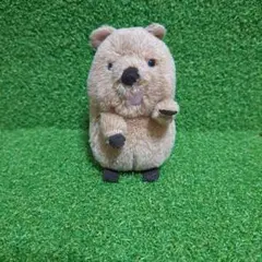 クオッカぬいぐるみ 大陸散歩