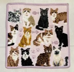 新品・未使用☆フェイラー　B品　マイキュートキトゥン　ハンカチ　ネコ