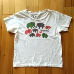 コットン100%　ゾウのTシャツ