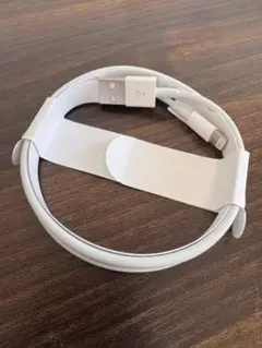 【純正】Apple USB-A to Lightningケーブル