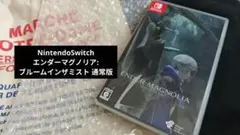 Switch エンダーマグノリア: ブルームインザミスト 通常版