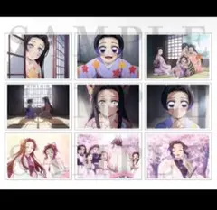 【新品未開封】鬼滅の刃 劇場版 無限城 胡蝶しのぶの追憶ブロマイドセット