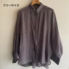 長袖　シアーシャツ