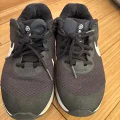 Item thumbnail for item 26e1486d-90aa-44c6-8497-c1ee3dfbf9af