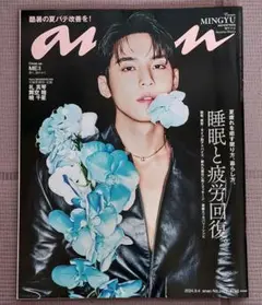 anan　no.2411　SEVENTEEN　ミンギュ　雑誌