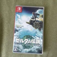 ゼルダの伝説 ティアーズ オブ ザ キングダム