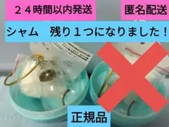 Item thumbnail for item 8fe6fd6c-864a-4476-abaf-05f68593aade