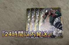 『24時間以内発送』クザン シークレット