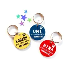Item thumbnail for item 9d877207-6c81-4fb1-aad7-f274f15fa132