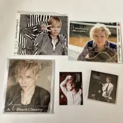 acid black cherry アザージャケット メモ帳 カレンダー等セット