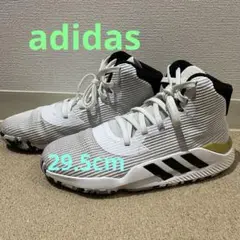 m21949538739_1.jpg?1710731899