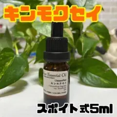 キンモクセイ 5ml 遮光ガラス スポイト式 10ml瓶 フローラル系 花