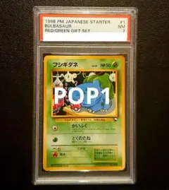 【ARS10+】フシギダネ 旧裏 イントロパック 世界1枚 フシギダネ | ポケモンカード(旧裏面) イントロパック