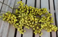 めぐみ工房 北海道ドライフラワー
ハーバリウム・ペッパーベリー黄色大束