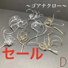ゴアナクロー ゴールド シルバー D ハーバリウム