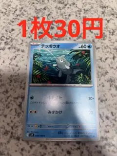 テッポウオ　組み合わせ自由　バトルパートナーズ