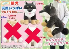 最新作♥非売品レア♥くったり柴犬元気いっぱいウルトラBIGくろりん黒柴ぬいぐるみ