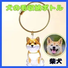 Item thumbnail for item c8b8a3c7-a2db-4d66-8519-2488919cd343