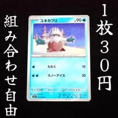 m1S 017 ユキカブリ