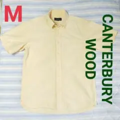 Item thumbnail for item 25235456-a9c8-4437-a911-5cf171d6d67e