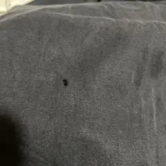 差額専用