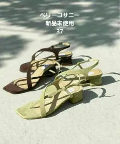 新品未使用 37 別注ペリーコサニー