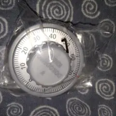 Item thumbnail for item df283f2c-427b-429c-beeb-08ec59dbbcbe