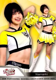 Item thumbnail for item b0194759-6c4a-4a6a-8adf-e0cb57264d7a