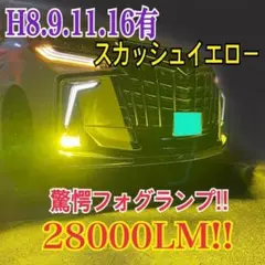 驚異の明るさ!スカッシュイエロー28000LM‼H8.9.11.16